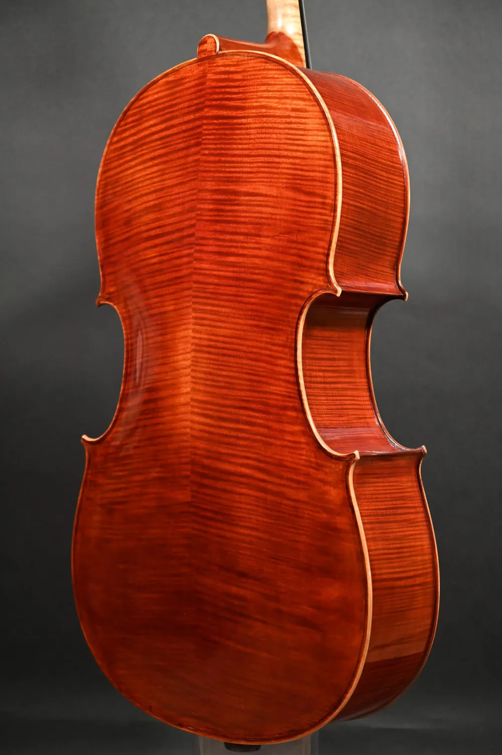 Simon Joseph 4/4 Meister Cello, Montagnana 5Saiter Modell, Handarbeit 2023_Boden-Zargenansicht