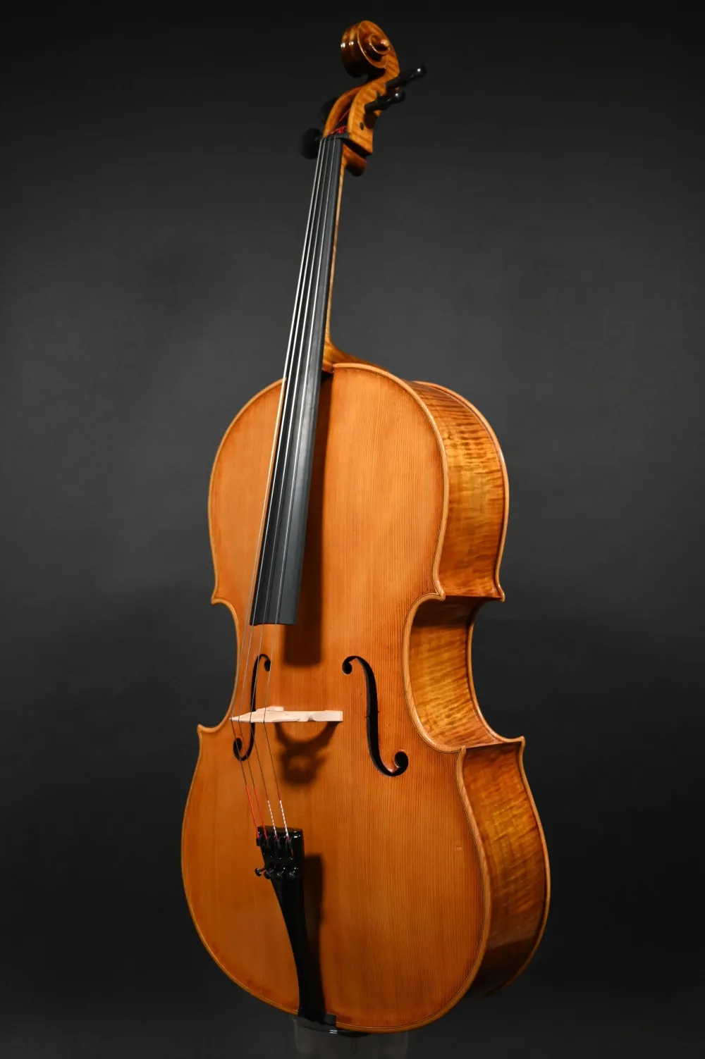 Front-Seitenansicht eines Kalas Csaba \"Caribbean\" 4/4 Meister Cello (Violoncello) nach Montagnana \"Sleeping Beauty\" Handarbeit 2022