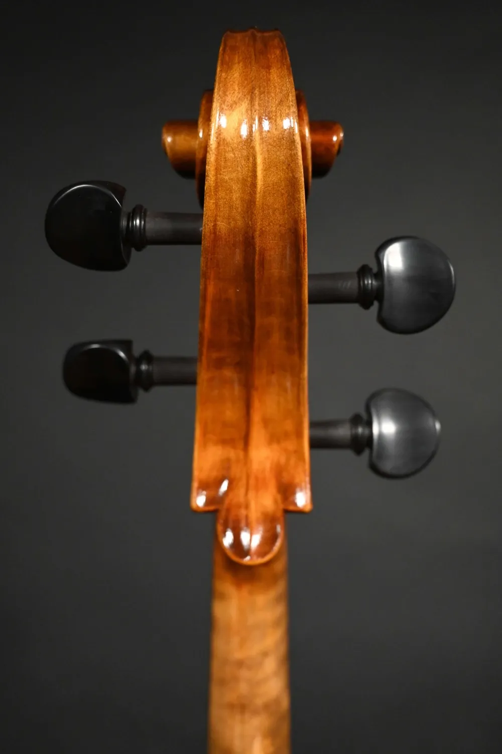 Schneckenansicht von hinten eines Kalas Csaba \"Caribbean\" 4/4 Meister Cello (Violoncello) nach Montagnana \"Sleeping Beauty\" Handarbeit 2022