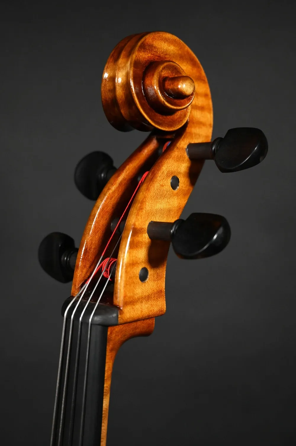 Schneckenansicht von vorne seitlich eines Kalas Csaba \"Caribbean\" 4/4 Meister Cello (Violoncello) nach Montagnana \"Sleeping Beauty\" Handarbeit 2022
