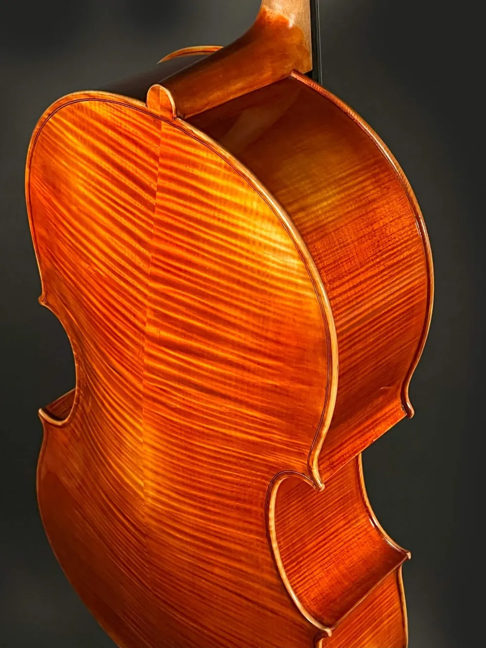 Halsansatz-Boden-Detailansicht einer Simon Joseph Montagnana Cello (Violoncello) Handarbeit 2020
