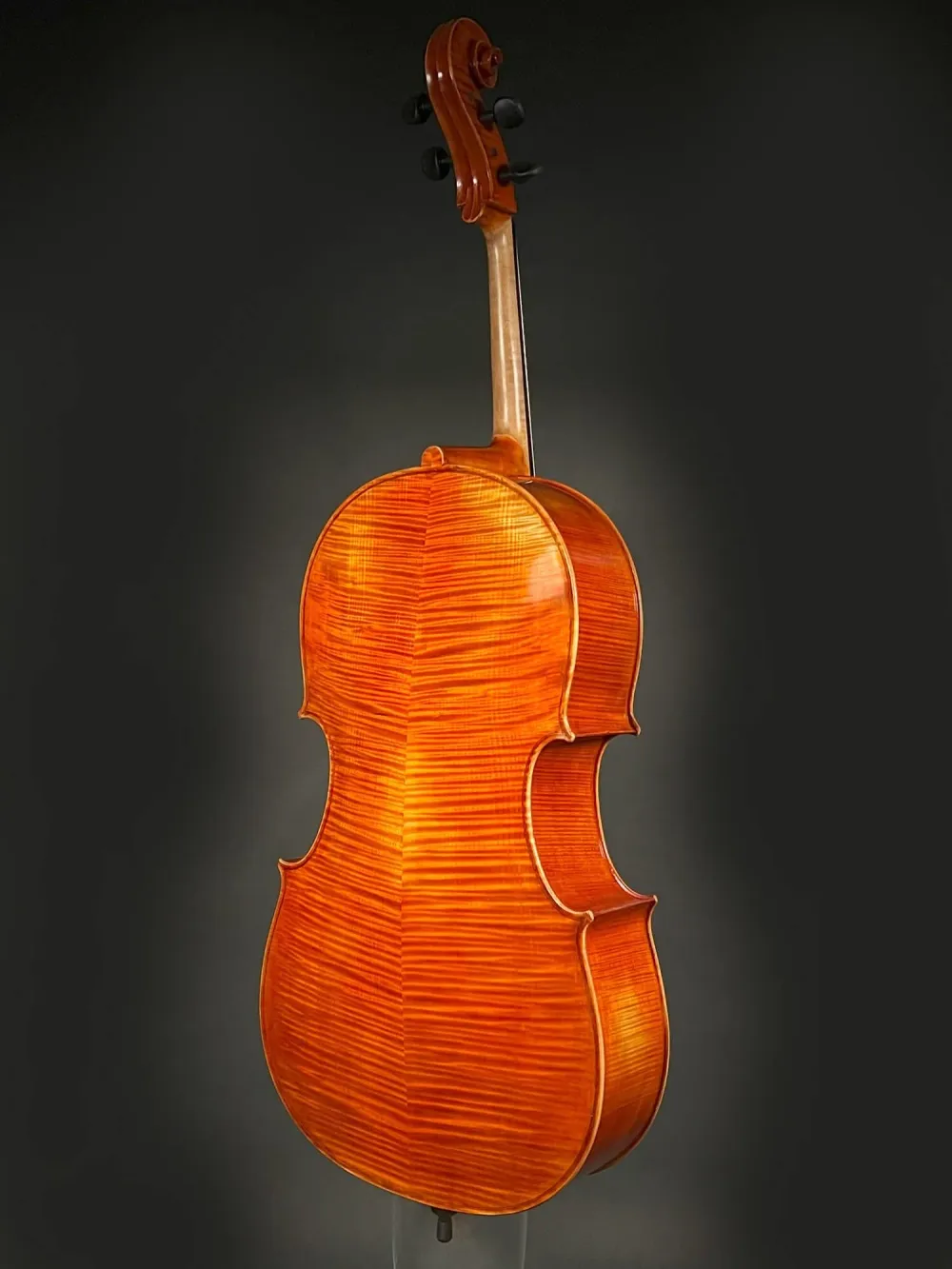 Seiten-Boden-Detailansicht einer Simon Joseph Montagnana Cello (Violoncello) Handarbeit 2020