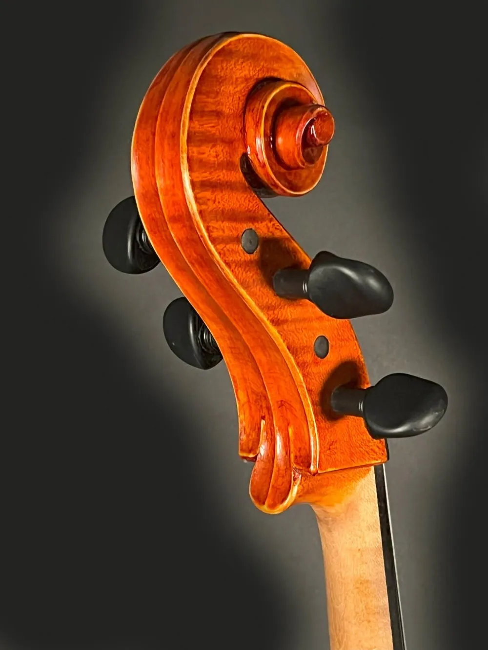 Schnecke-hinten-seitlich-Detailansicht einer Simon Joseph Montagnana Cello (Violoncello) Handarbeit 2020
