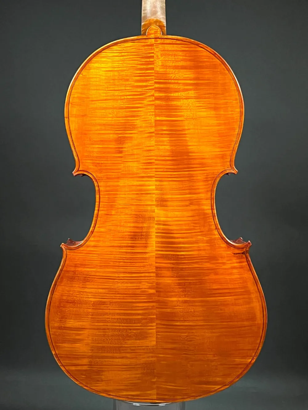 Boden-Detailansicht eines Reghino 5Saiter Cello Piccolo Handarbeit 2021