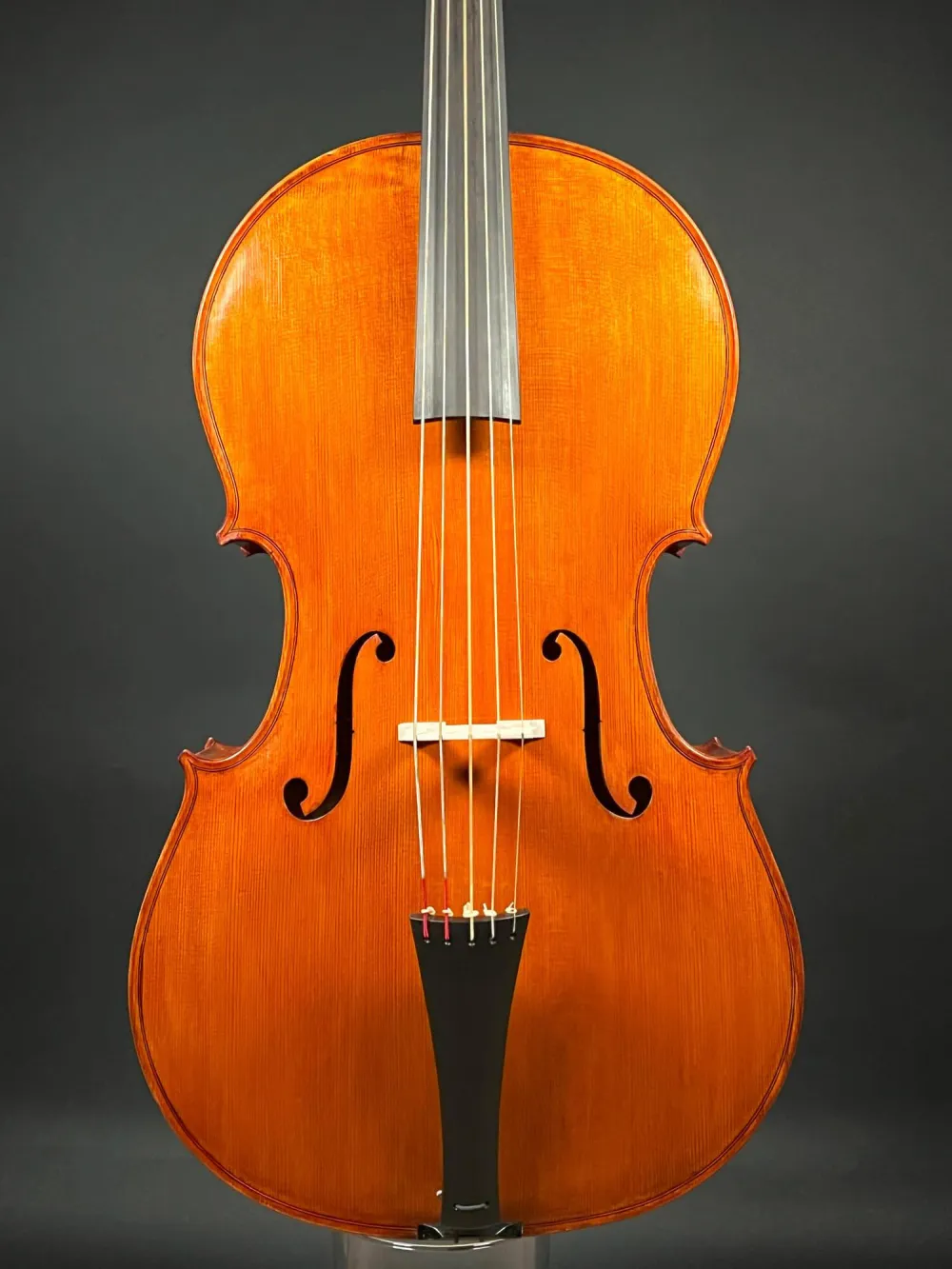 Decke-Detailansicht eines Reghino 5Saiter Cello Piccolo Handarbeit 2021