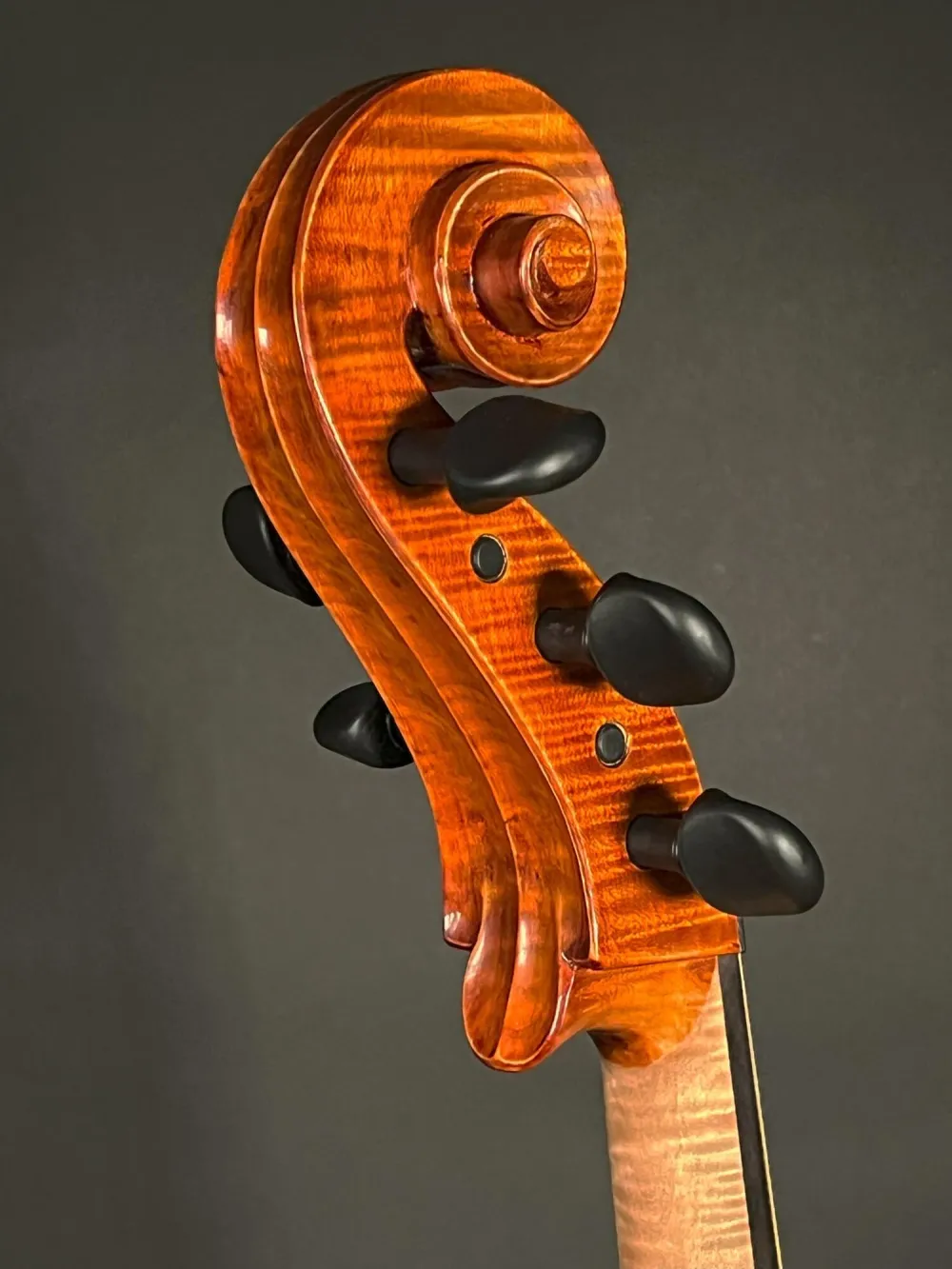 Schnecke- von der Seite unten -Detailansicht eines Reghino 5Saiter Cello Piccolo Handarbeit 2021