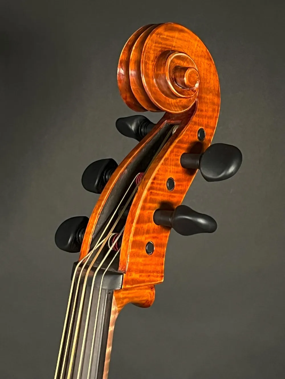 Schnecke- von der Seite oben -Detailansicht eines Reghino 5Saiter Cello Piccolo Handarbeit 2021