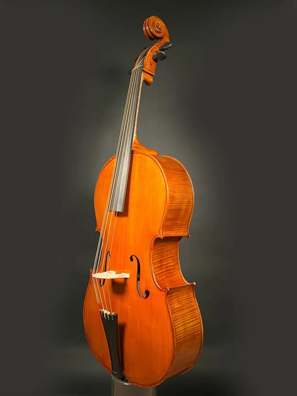 Seite-Decke-Zarge-komplett-Detailansicht eines Reghino 5Saiter Cello Piccolo Handarbeit 2021