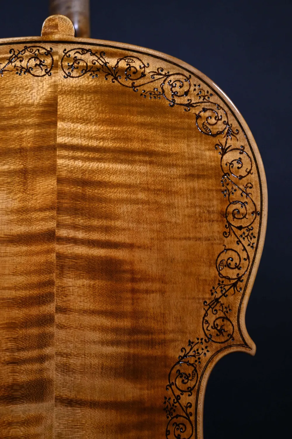 Bodenansicht oben eines Kalas Csaba 4/4 Meister Cello (Violoncello) nach Stradivarius Handarbeit 2022