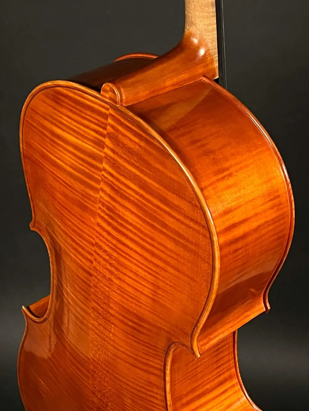 Halsansatz-hinten-Detailansicht eines Mare Claudiu \"di Bottega\" Orchester Cello (Violoncello) Handarbeit 2021
