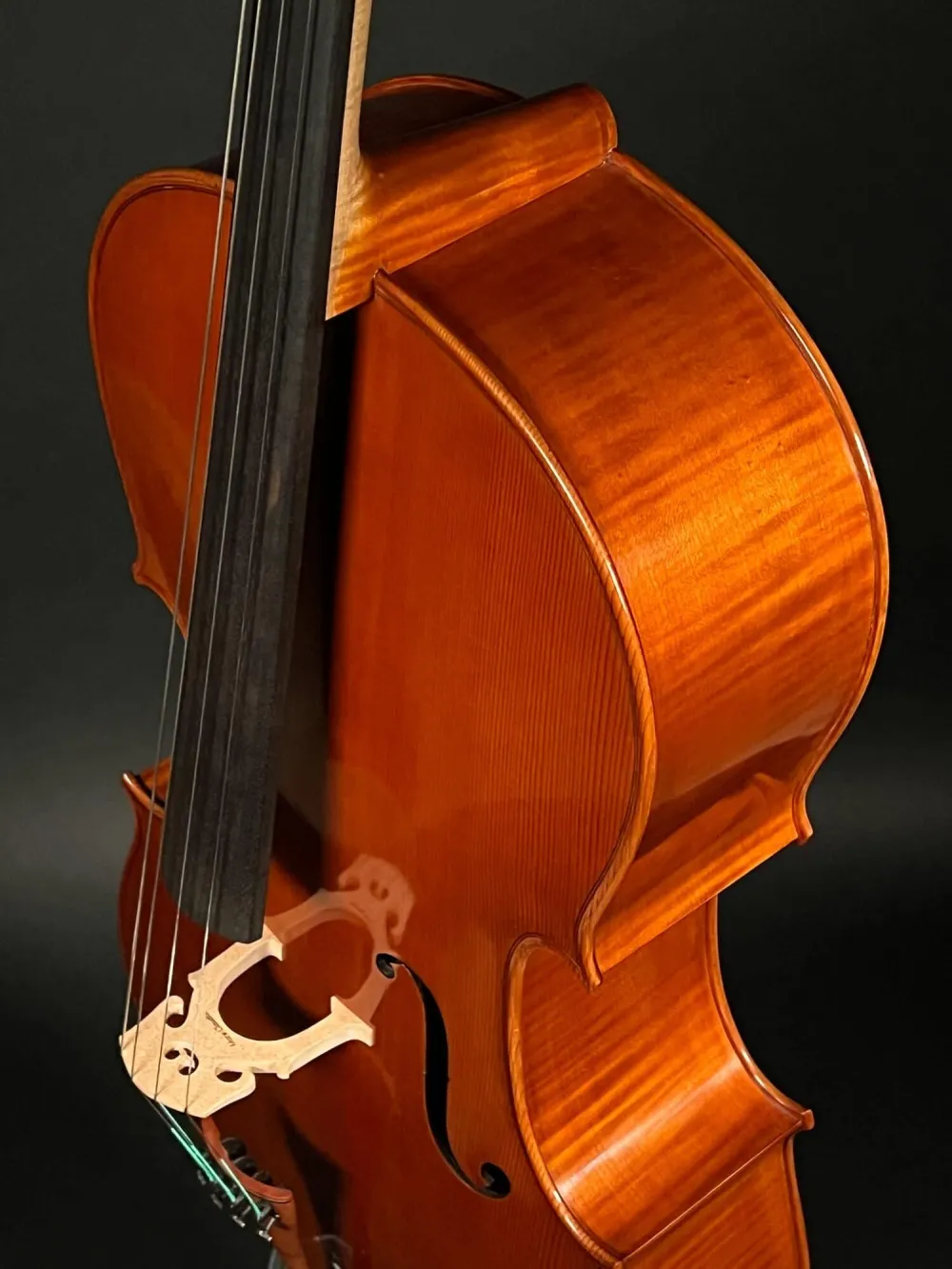 Halsansatz-vorne-Detailansicht eines Mare Claudiu \"di Bottega\" Orchester Cello (Violoncello) Handarbeit 2021