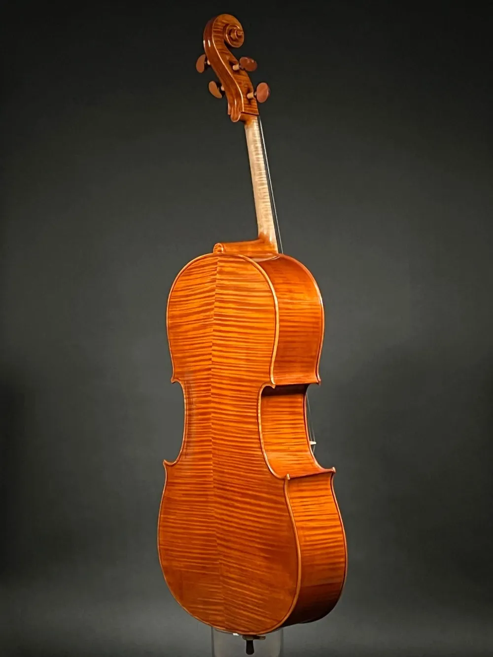 Rück-Seite-Detailansicht eines Mare Claudiu \"di Bottega\" Orchester Cello (Violoncello) Handarbeit 2021