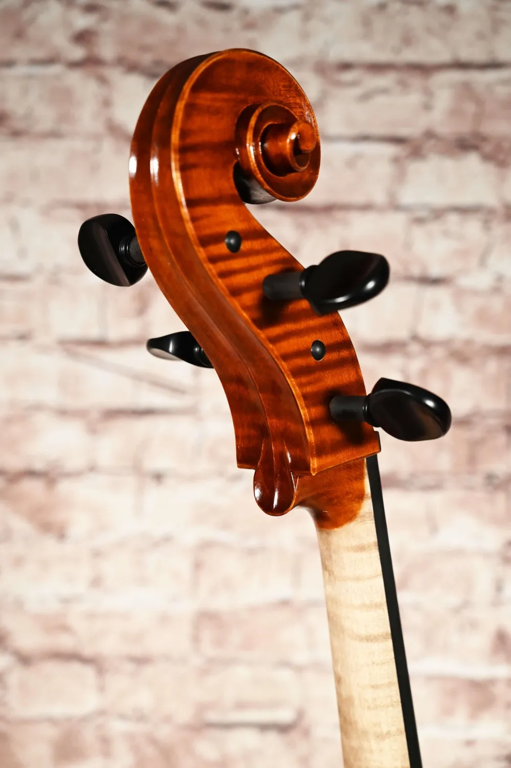 Schneckansicht-hinten-seitlich eines Simon Paul 7/8 Meister Cello (Violoncello) GUADAGNINI Modell, gebaut 2023