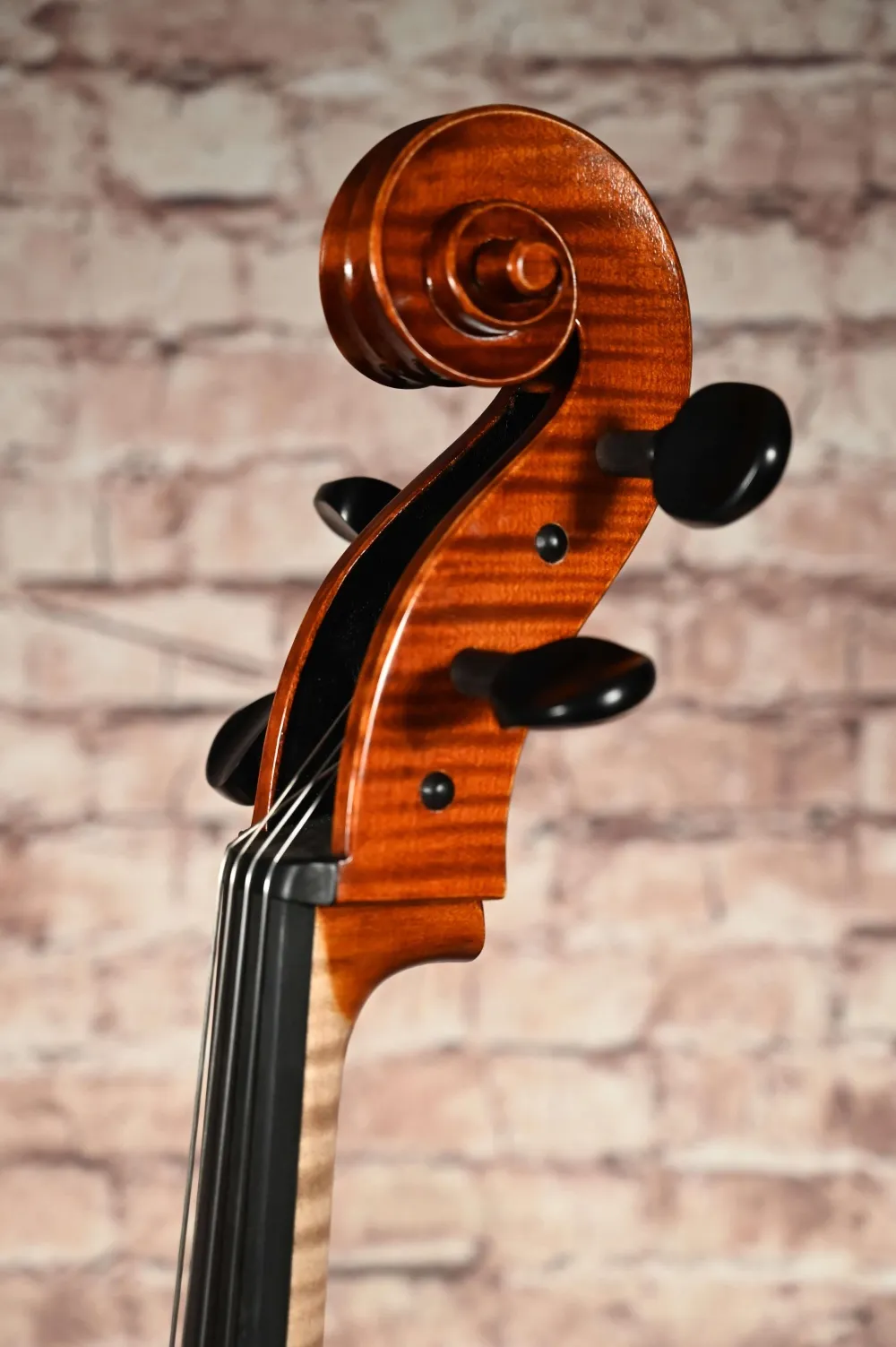 Schneckansicht-vorne-seitlich eines Simon Paul 7/8 Meister Cello (Violoncello) GUADAGNINI Modell, gebaut 2023