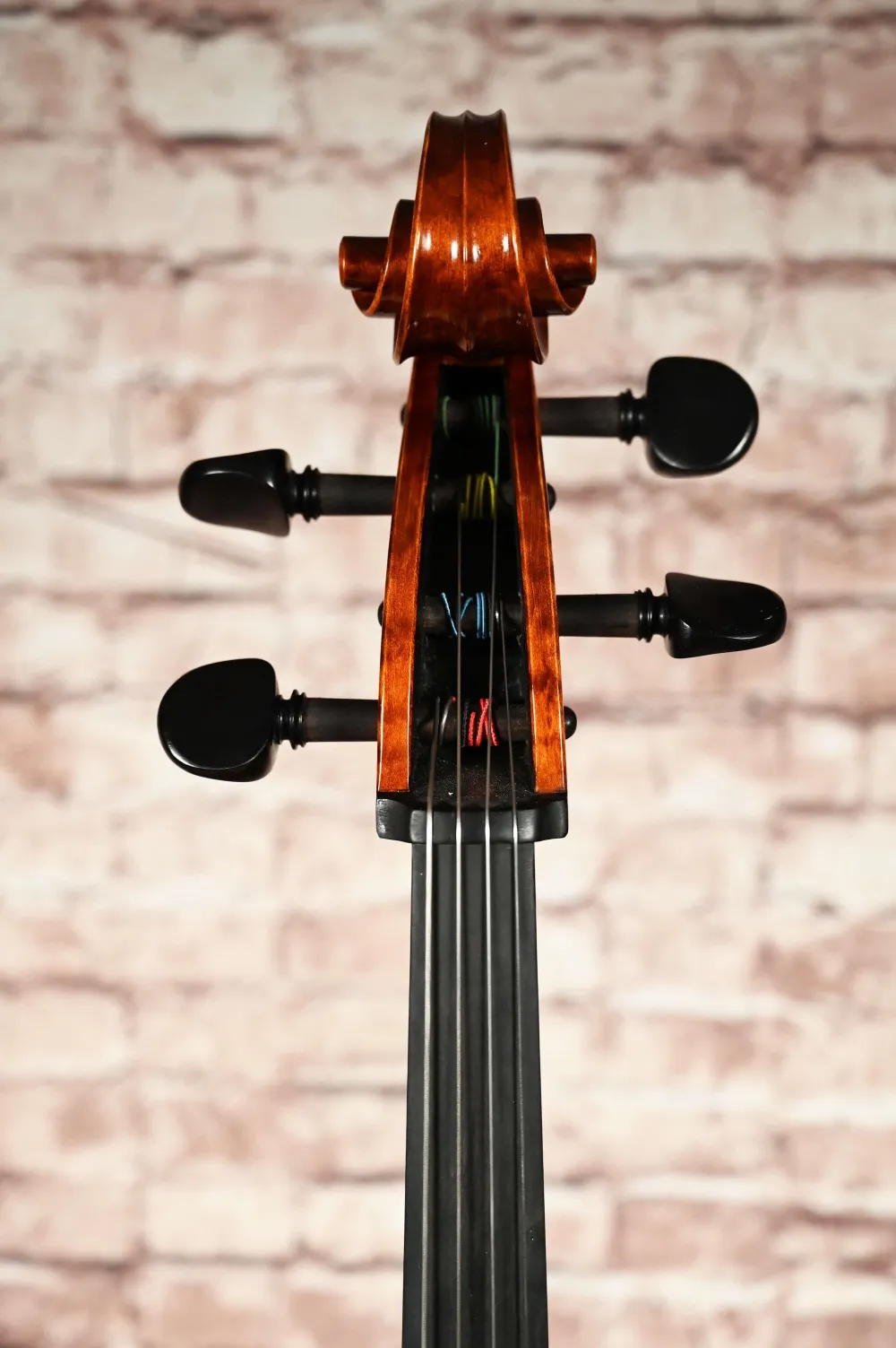 Schneckansicht-vorne eines Simon Paul 7/8 Meister Cello (Violoncello) GUADAGNINI Modell, gebaut 2023