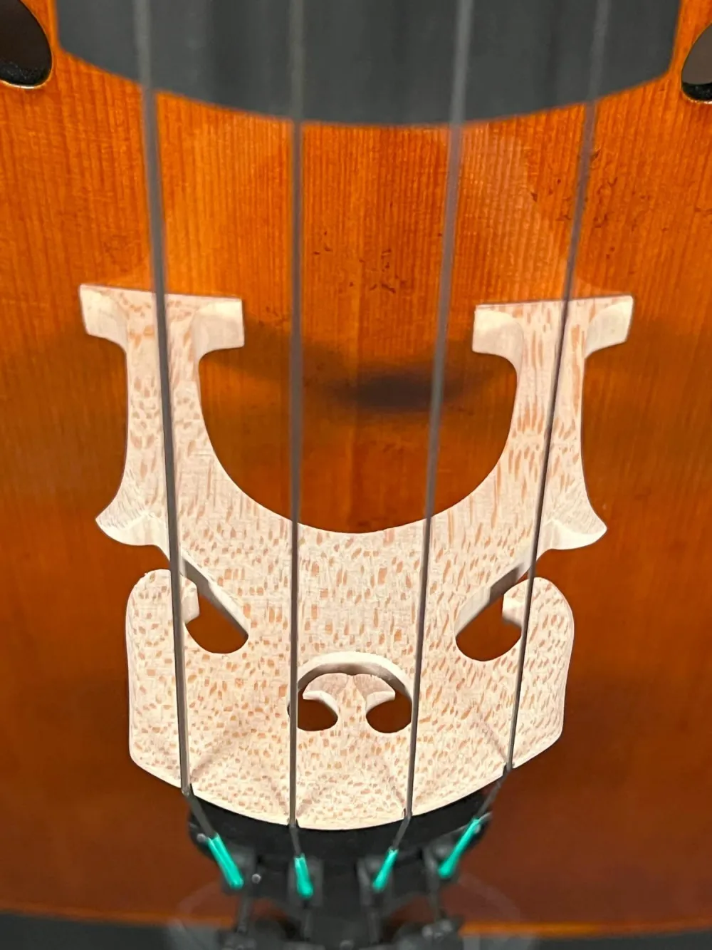 Stegansicht eines Simon Paul 7/8 Meister Cello (Violoncello) GUADAGNINI Modell, gebaut 2023