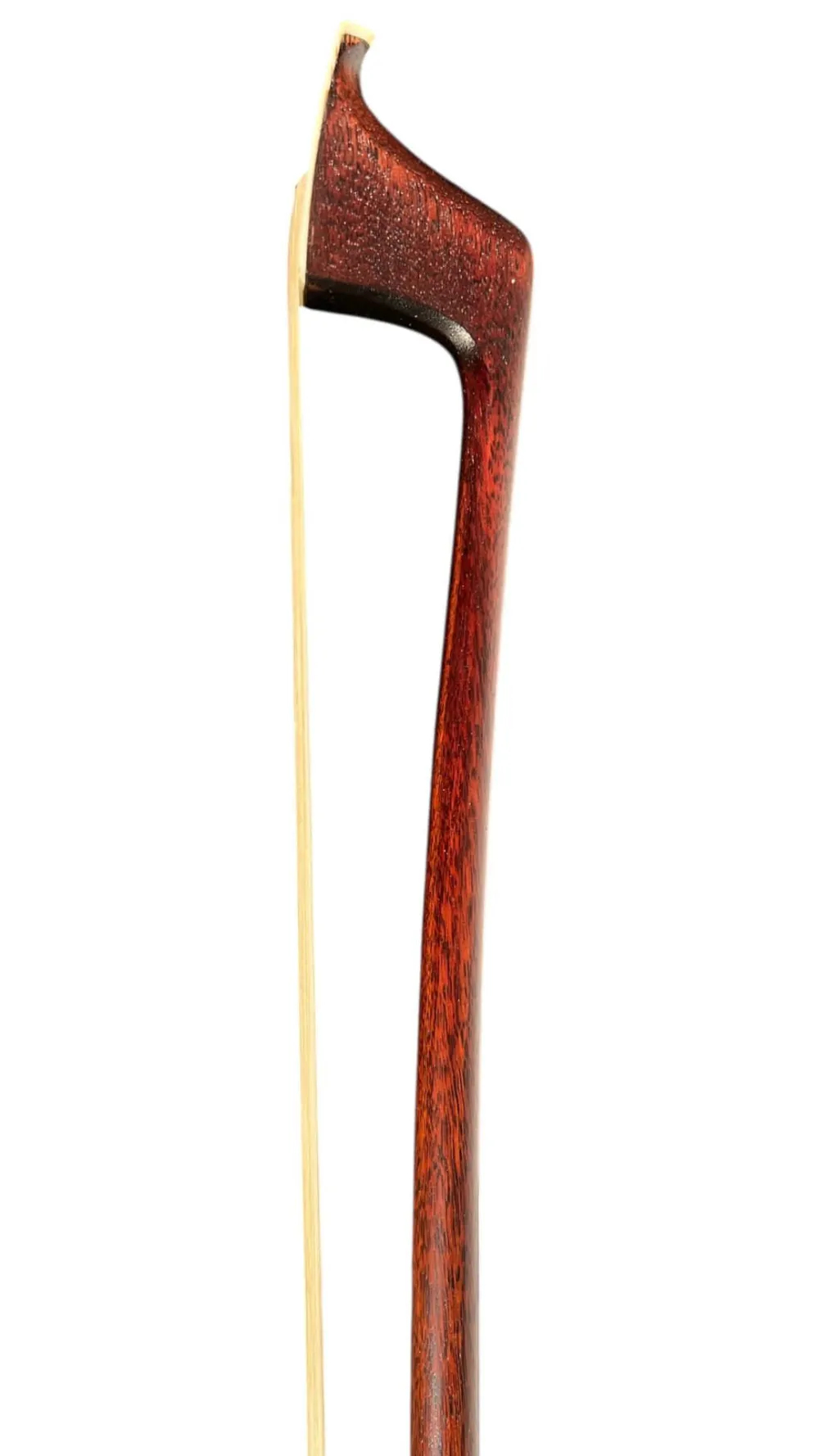 Dörfler Kontrabass BASISBOGEN W. Dörfler – Detailaufnahme: runde Fernambukstange und Spitze