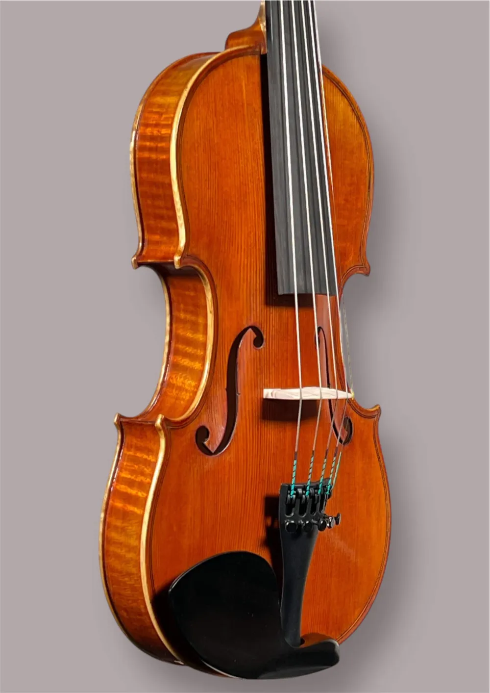 Decken-Zargenansicht einer Simon Joseph 5Saiter 4/4 Meister Geige (Violine) Handarbeit 2023