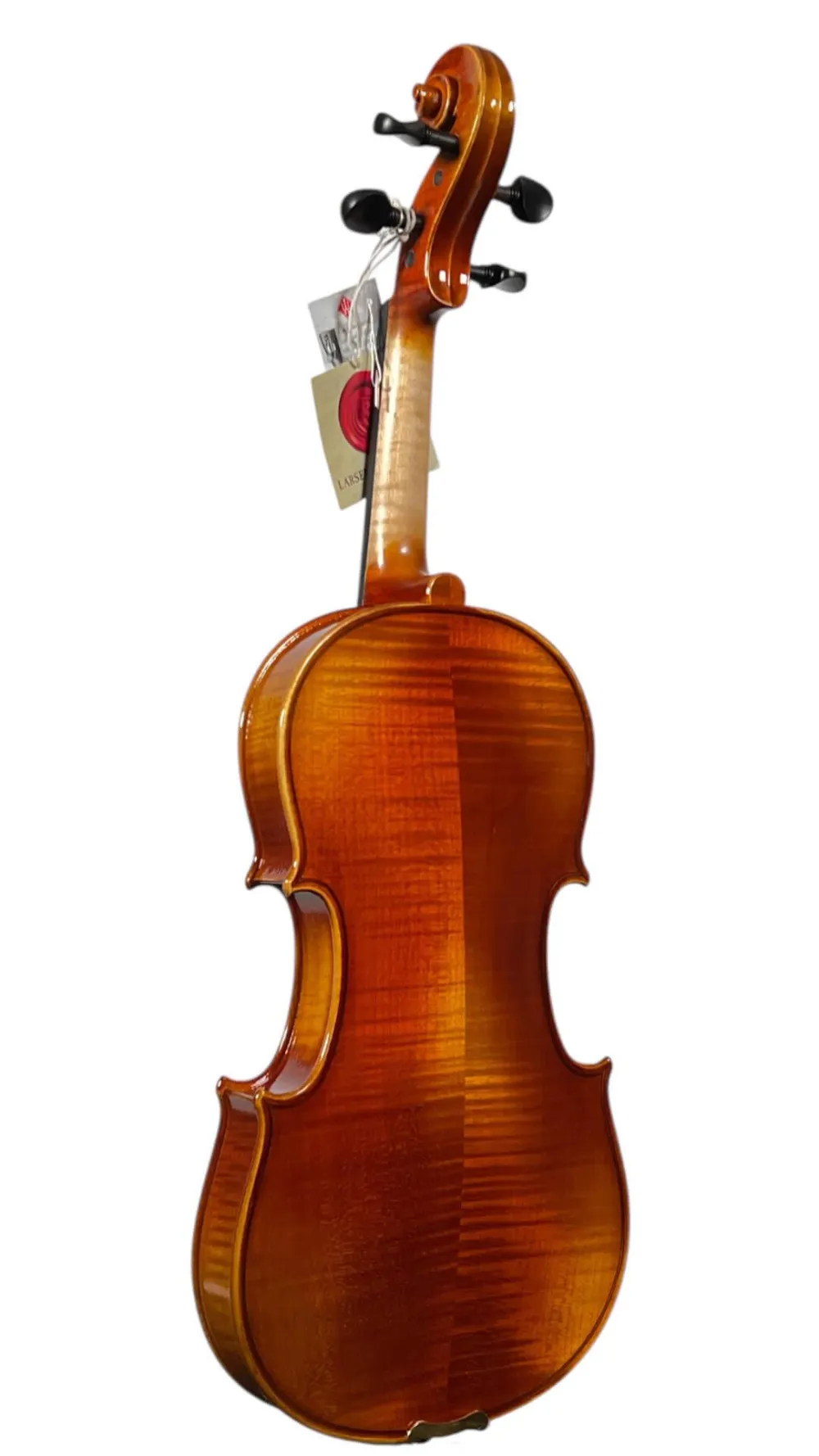GEWA 4/4 Geige (Violine) Modell Maestro 1 Rueckansicht, seitlich