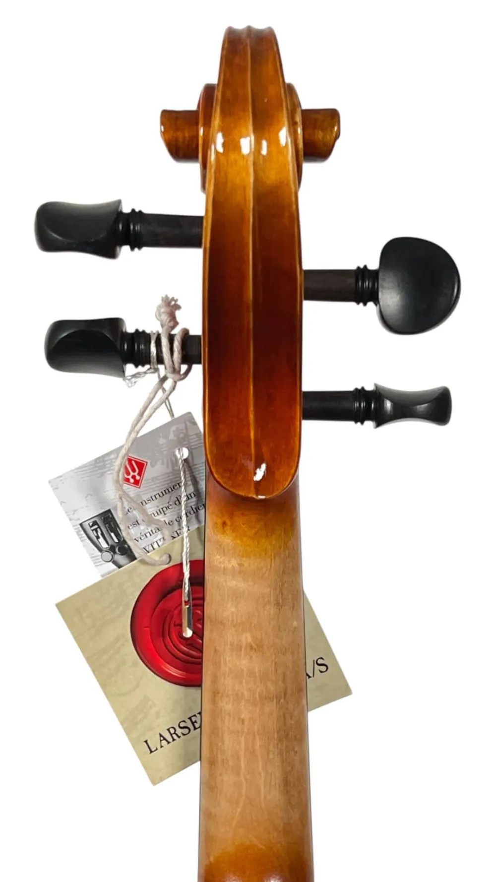 GEWA 4/4 Geige (Violine) Modell Maestro 1 Schneckenansicht-hinten