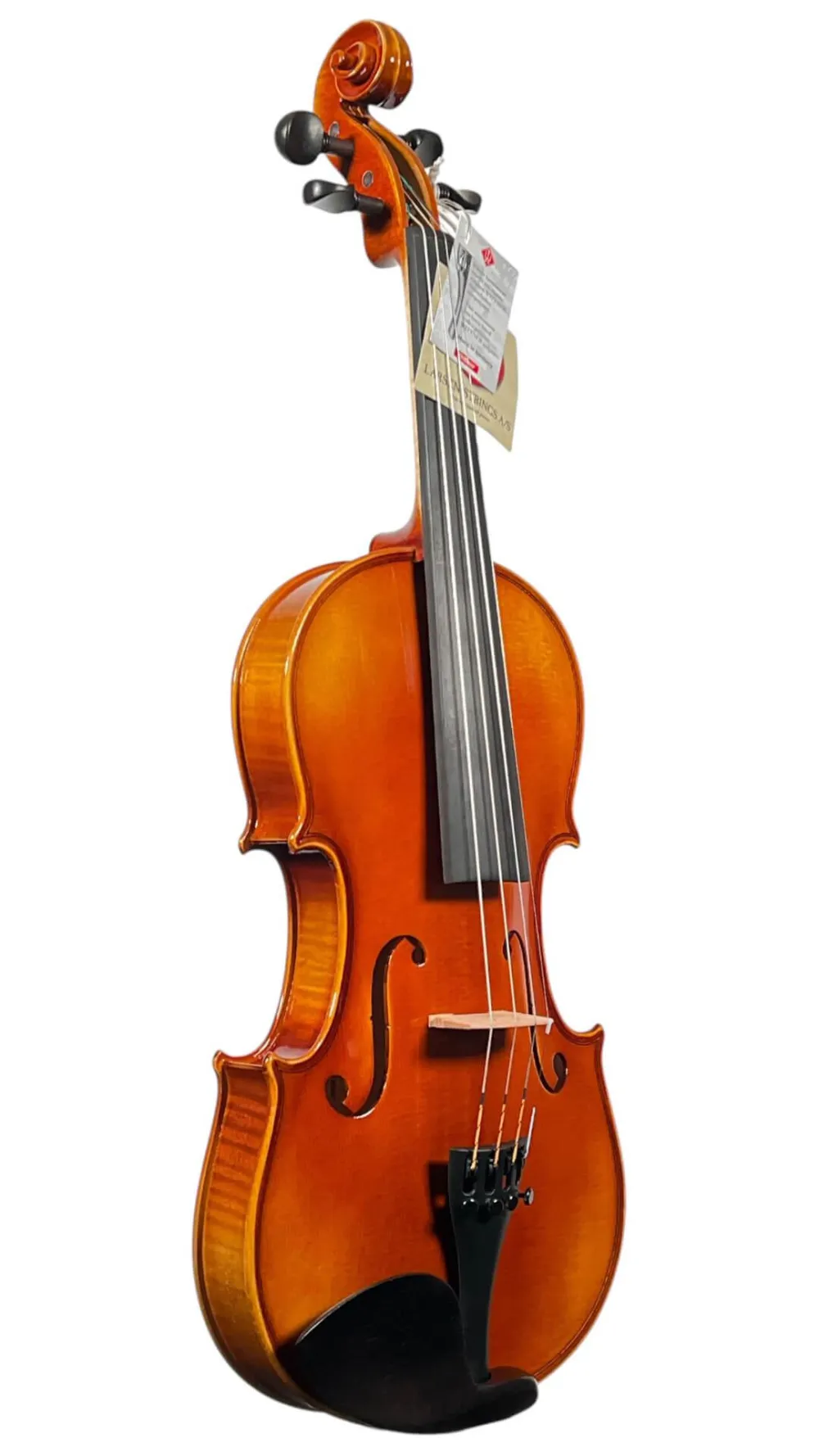 GEWA 4/4 Geige (Violine) Modell Maestro 1 Vorderansicht-seitlich