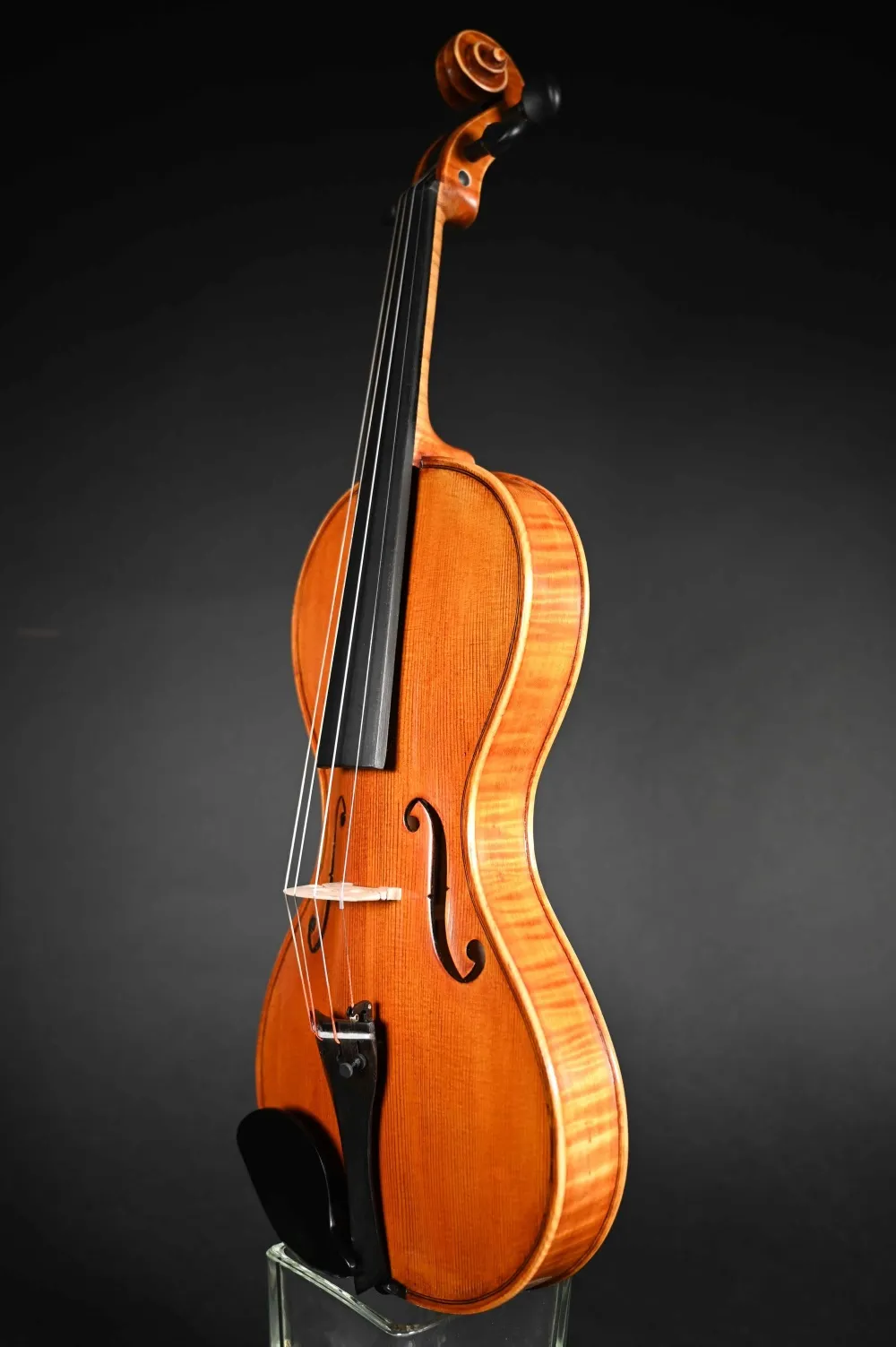 Decken-Zarge-Detailansicht einer Simon Joseph Corneless Geige (Violine) Handarbeit 2022