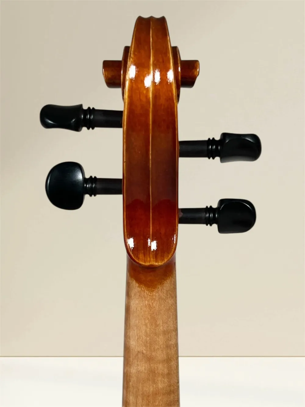 Geige (Violine) 4/4 aus Reghin Rumänien Baujahr 2025 - Schneckeansicht, hinten