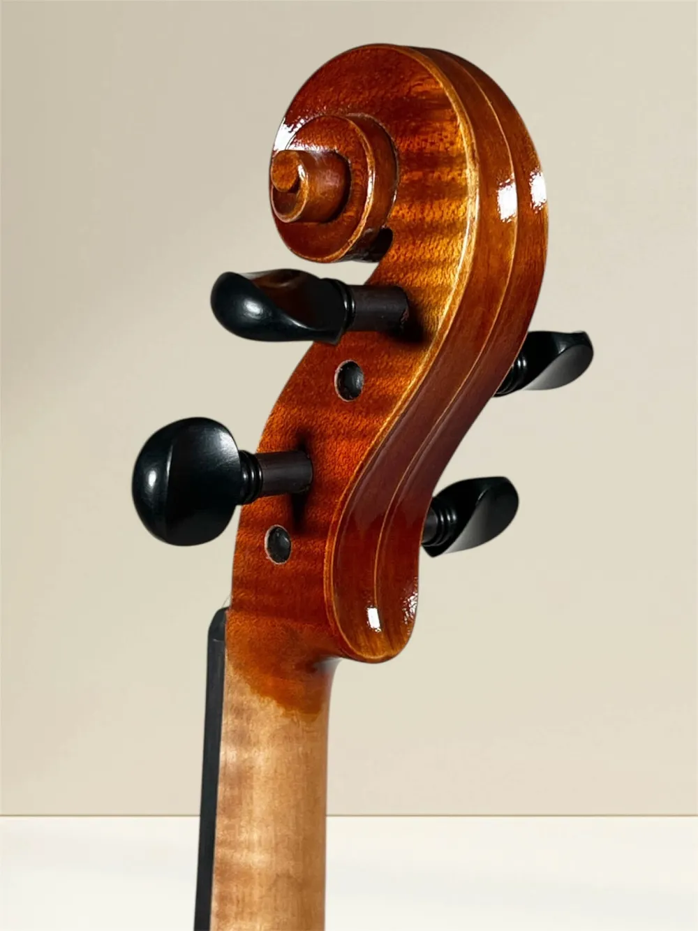 Geige (Violine) 4/4 aus Reghin Rumänien Baujahr 2025 - Schneckeansicht, hinten, seitlich