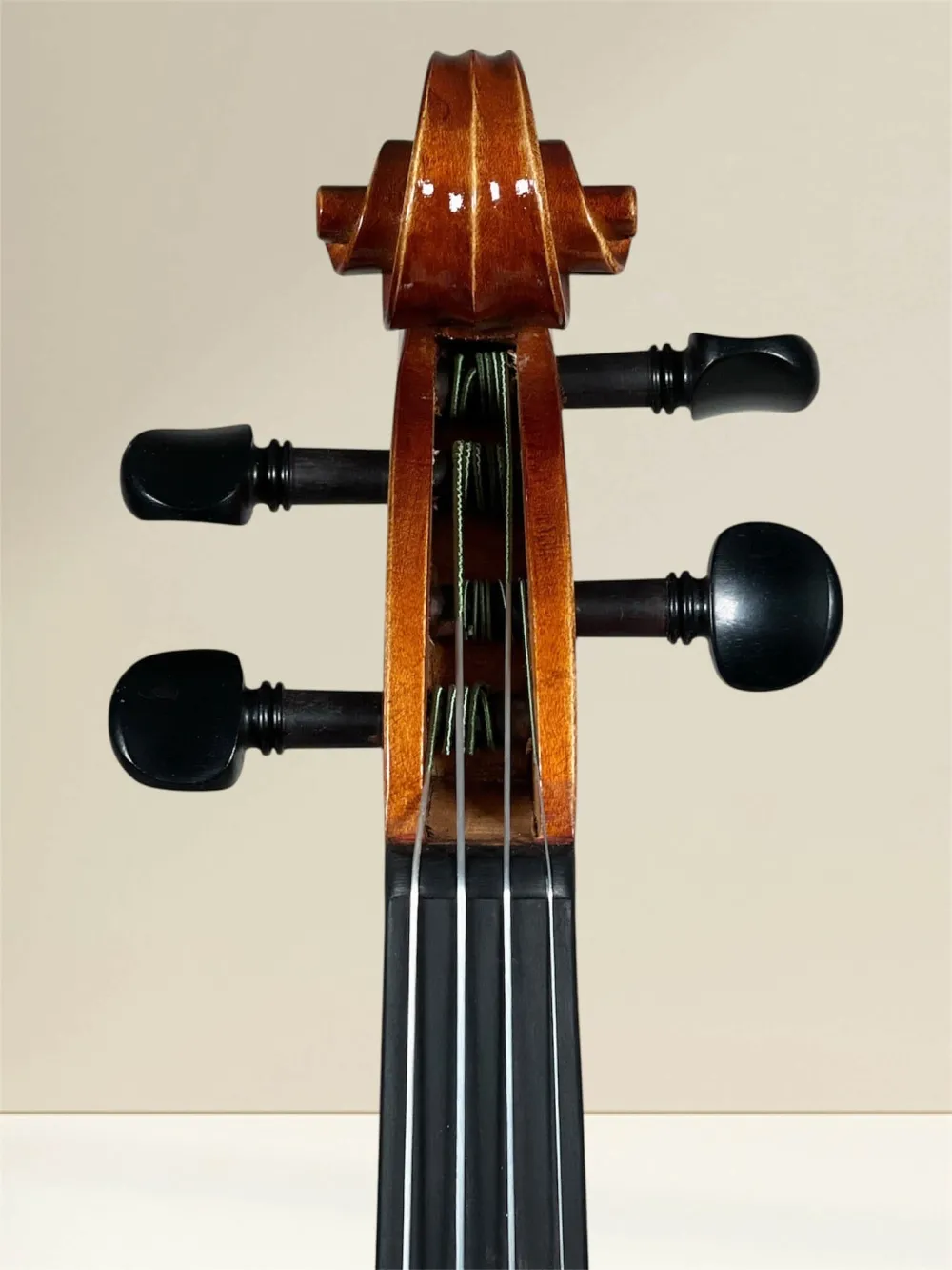 Geige (Violine) 4/4 aus Reghin Rumänien Baujahr 2025 - Schneckeansicht, vorne