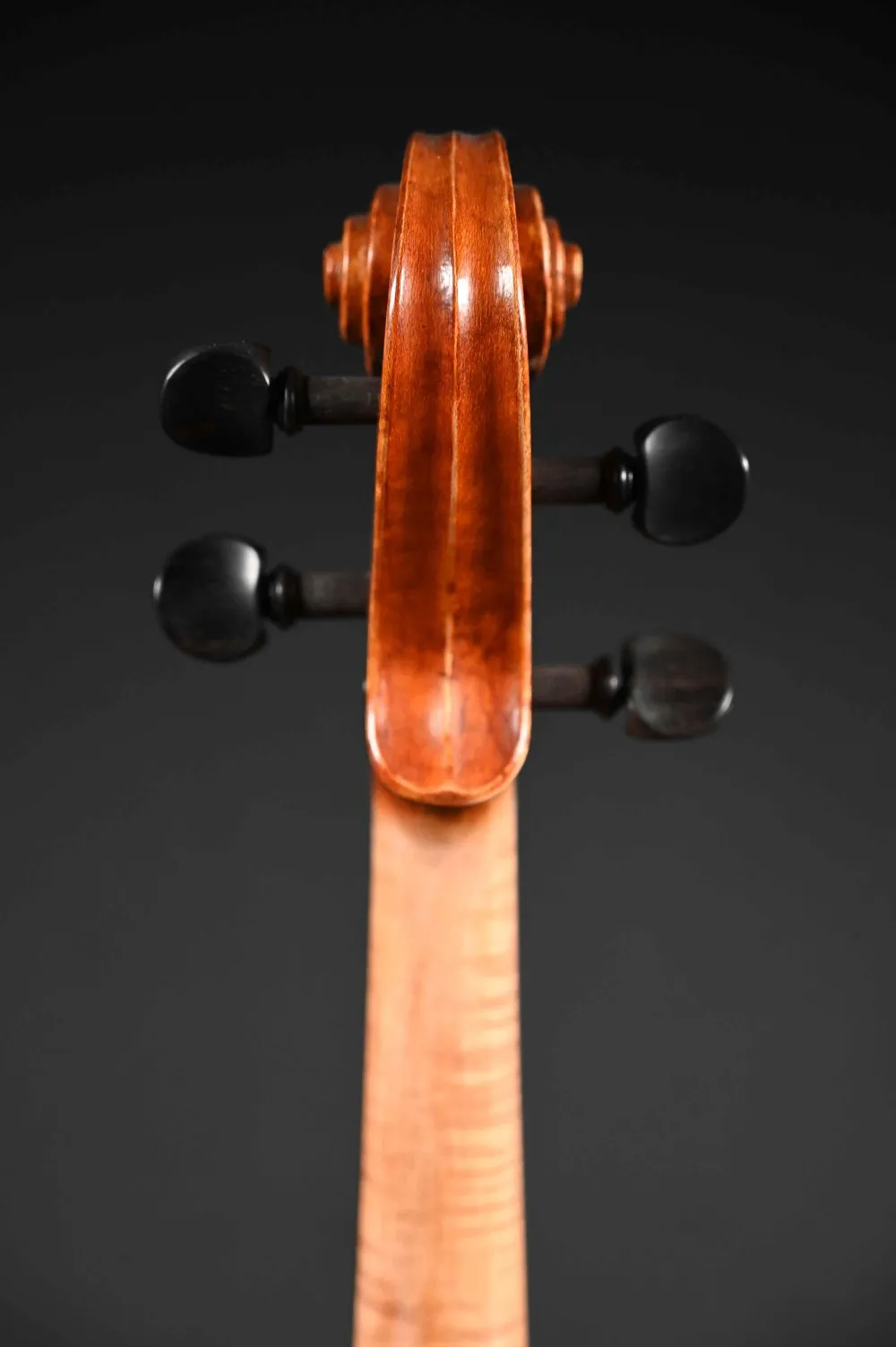Schnecke-hinten-Detailansicht einer Bucur Ioan Geige (Violine) Modell Maggini, Handarbeit 2019