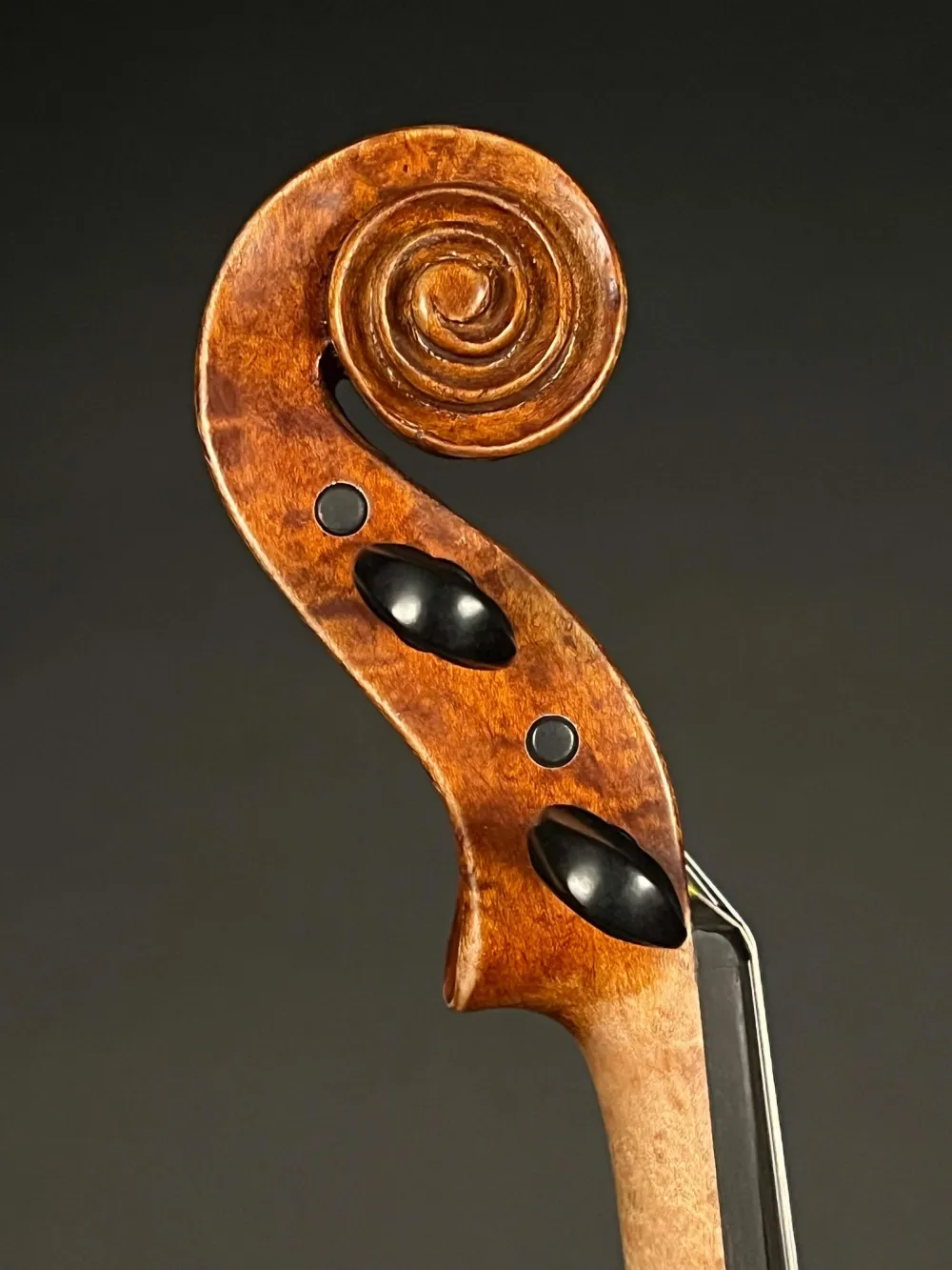 Schnecke-seitlich-rechts-Detailansicht einer Bucur Ioan Geige (Violine) Modell Maggini, Handarbeit 2019