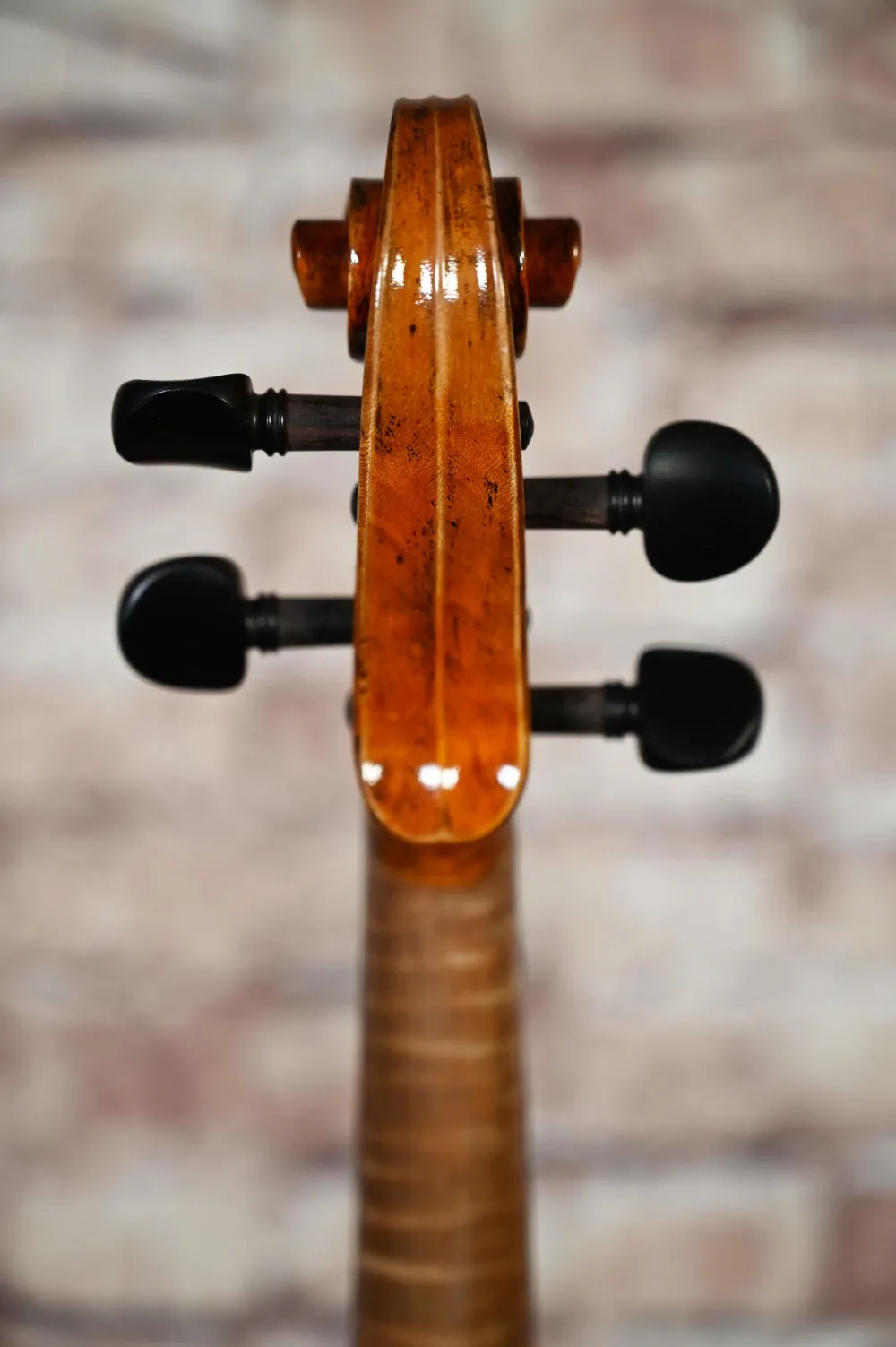 Schnecke-hinten-Ansicht einer Butiu Cornel \"die Bottega\" Geige (Violine) Handarbeit 2020