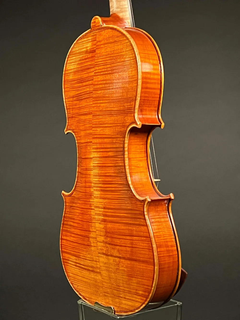 Boden-Zarge-Detailansicht einer Butiu Cornel \"Professional\" Geige (Violine) Handarbeit 2018