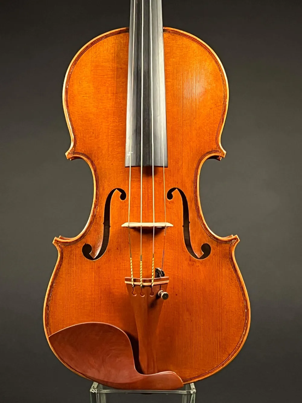 Decke-Detailansicht einer Butiu Cornel "Professional" Geige (Violine) Handarbeit 2018