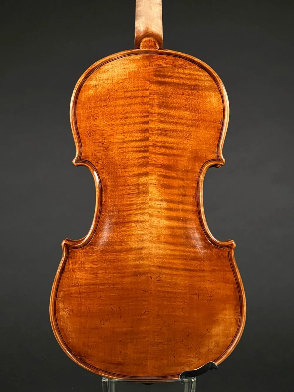 Boden-Detailansicht einer Butiu Cornel \"die Bottega\" Geige (Violine) Handarbeit 2022