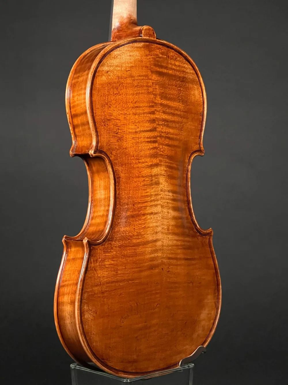 Boden-Zarge-Detailansicht einer Butiu Cornel \"die Bottega\" Geige (Violine) Handarbeit 2022