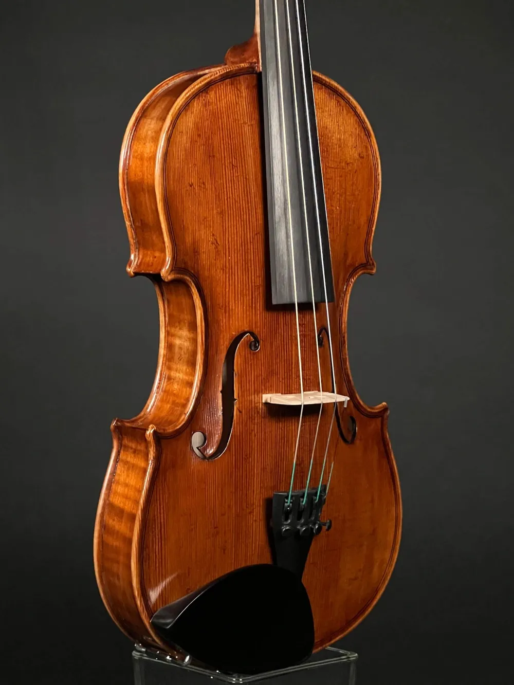 Decken-Zarge-Detailansicht einer Butiu Cornel \"die Bottega\" Geige (Violine) Handarbeit 2022