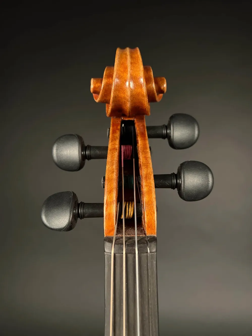 Wirbel-vorne-Detailansicht einer Pop Dumitru 4/4 \"di Bottega\" Geige (Violine) Handarbeit 2018