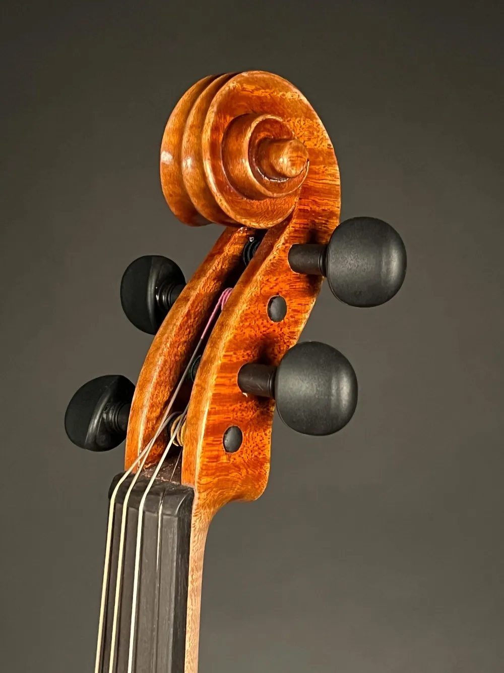 Schnecke-vorne-seitlich-Detailansicht einer Pop Dumitru 4/4 \"di Bottega\" Geige (Violine) Handarbeit 2018