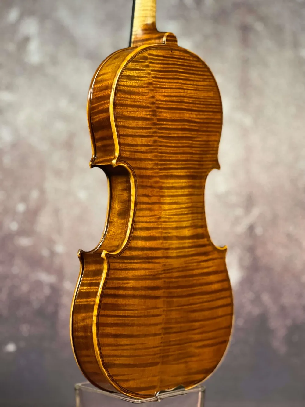 Boden-Zarge-Detailansicht einer Simon Joseph Meister Geige (Violine) Handarbeit 2018