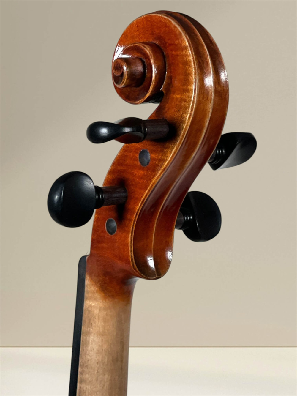 GEWA Maestro 2 4/4 Violine – Schneckeansicht hinten seitlich