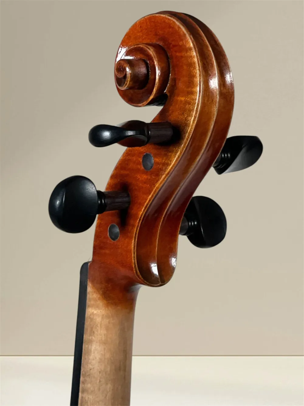 GEWA Maestro 2 4/4 Violine – Schneckeansicht hinten seitlich