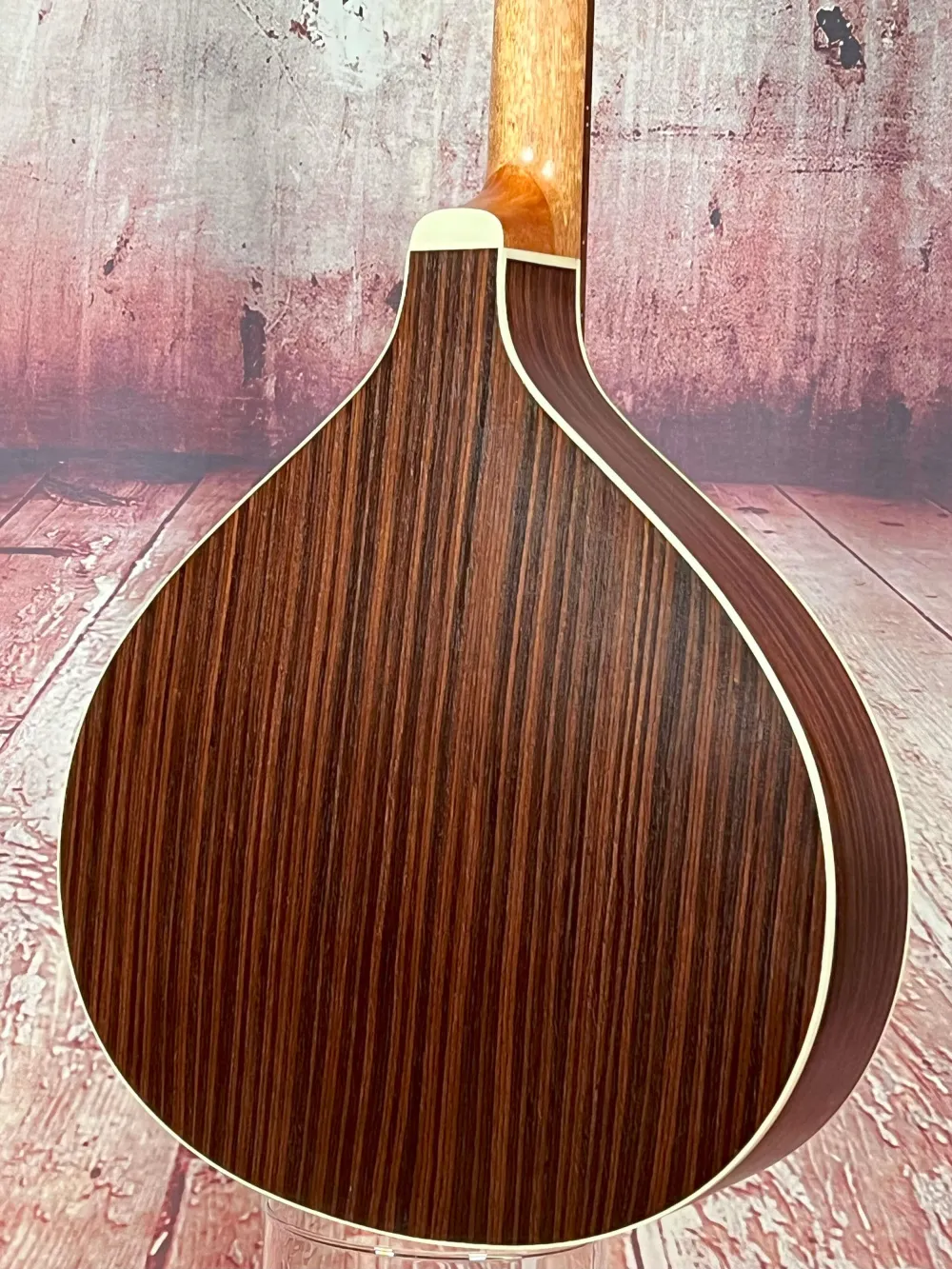 Bodenansicht einer APC Artist Portugiesisch Bouzouki Modell PTB310 gebaut in Portugal