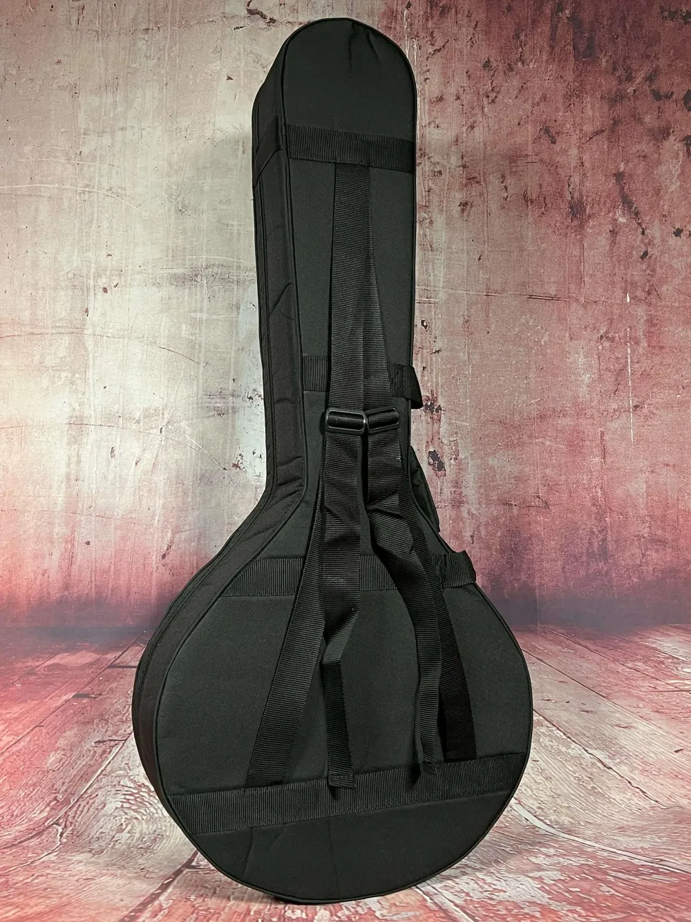 Kofferansicht von hinten einer APC Artist Portugiesisch Bouzouki Modell PTB310 gebaut in Portugal