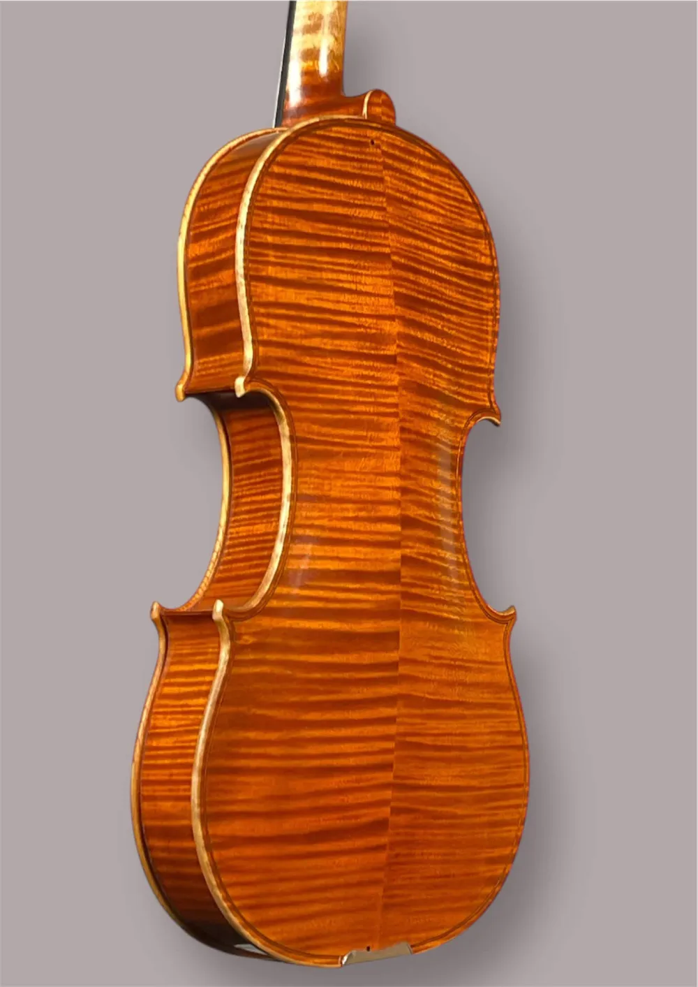 Boden-Zargenansicht einer Kalas Csaba Meister Geige (Violine) GUARNERI OLE BULL Modell gebaut 2020