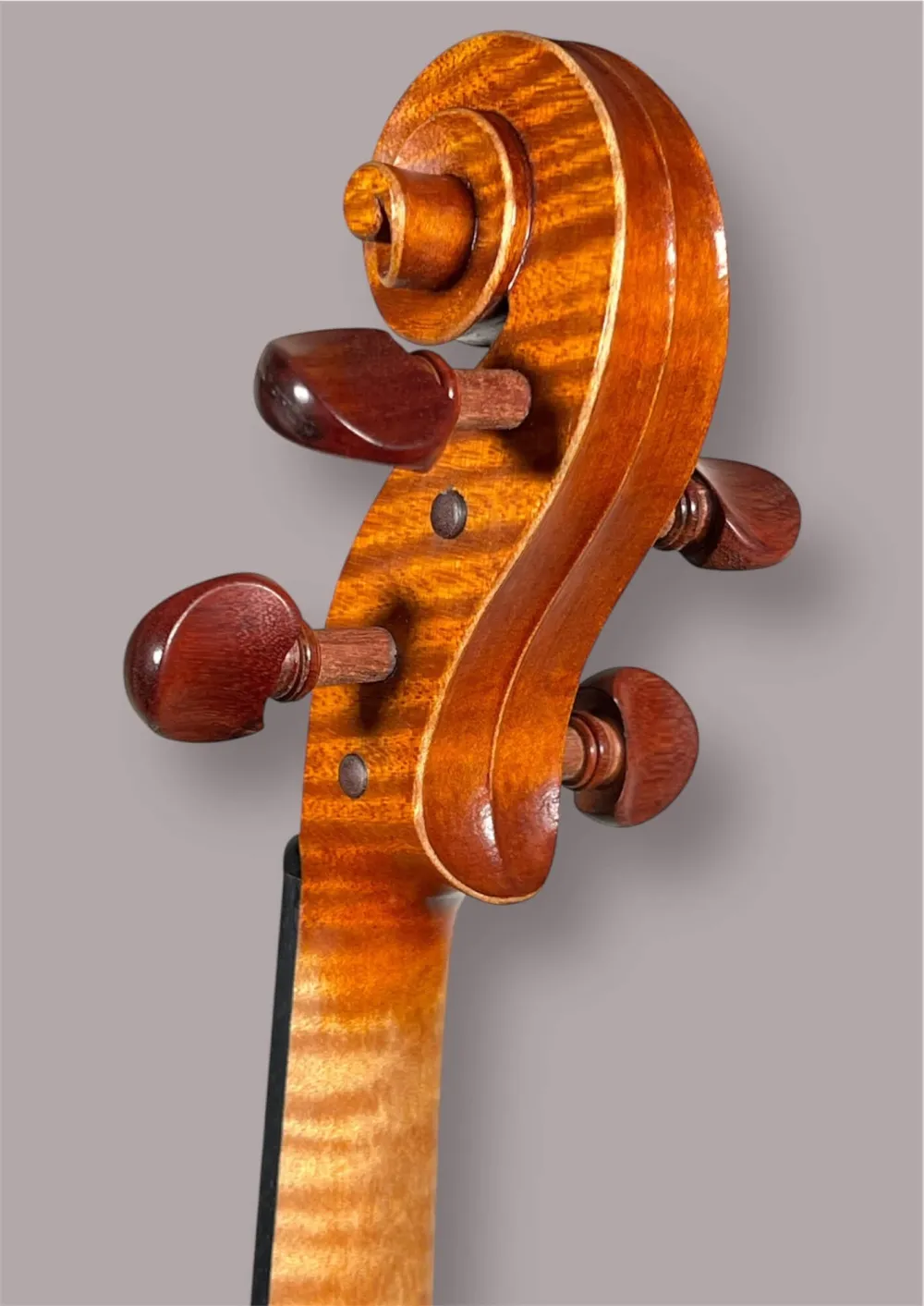 Schneckeansicht hinten seitlich einer Kalas Csaba Meister Geige (Violine) GUARNERI OLE BULL Modell gebaut 2020