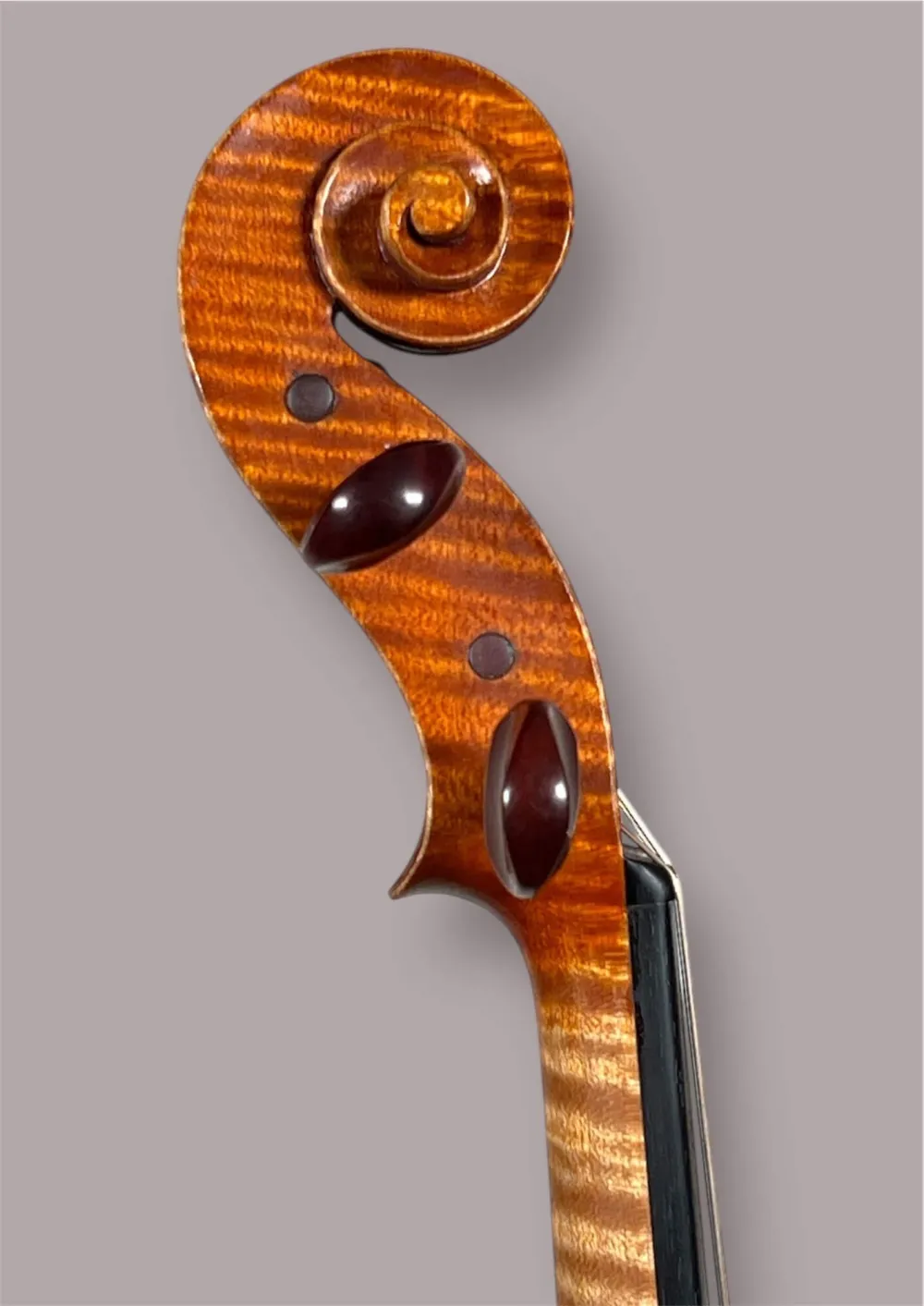 Schneckeansicht seitlich einer Kalas Csaba Meister Geige (Violine) GUARNERI OLE BULL Modell gebaut 2020