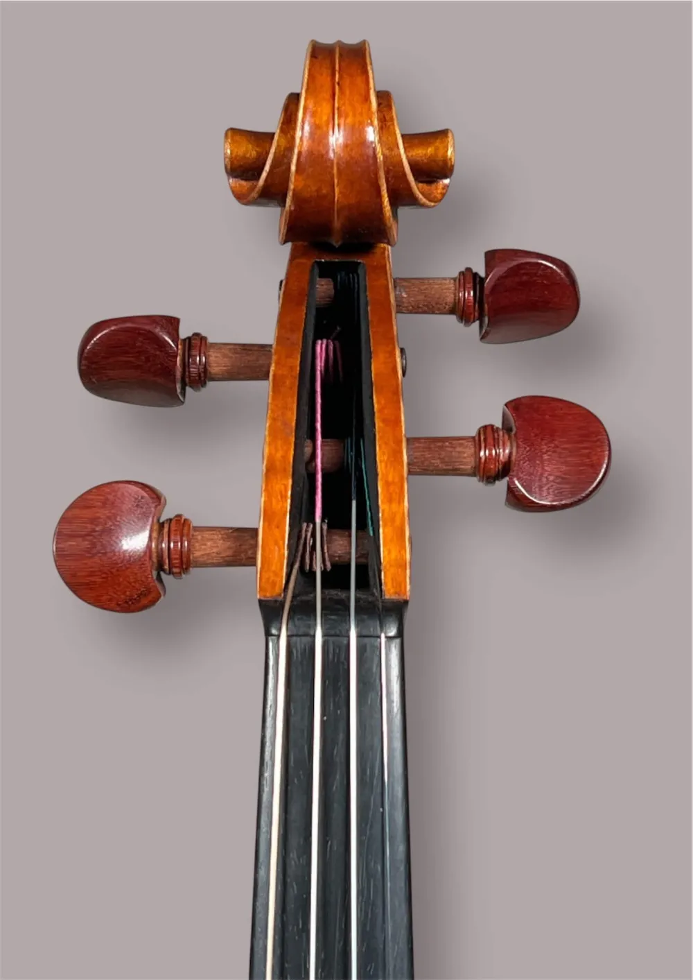 Schneckeansicht vorne einer Kalas Csaba Meister Geige (Violine) GUARNERI OLE BULL Modell gebaut 2020