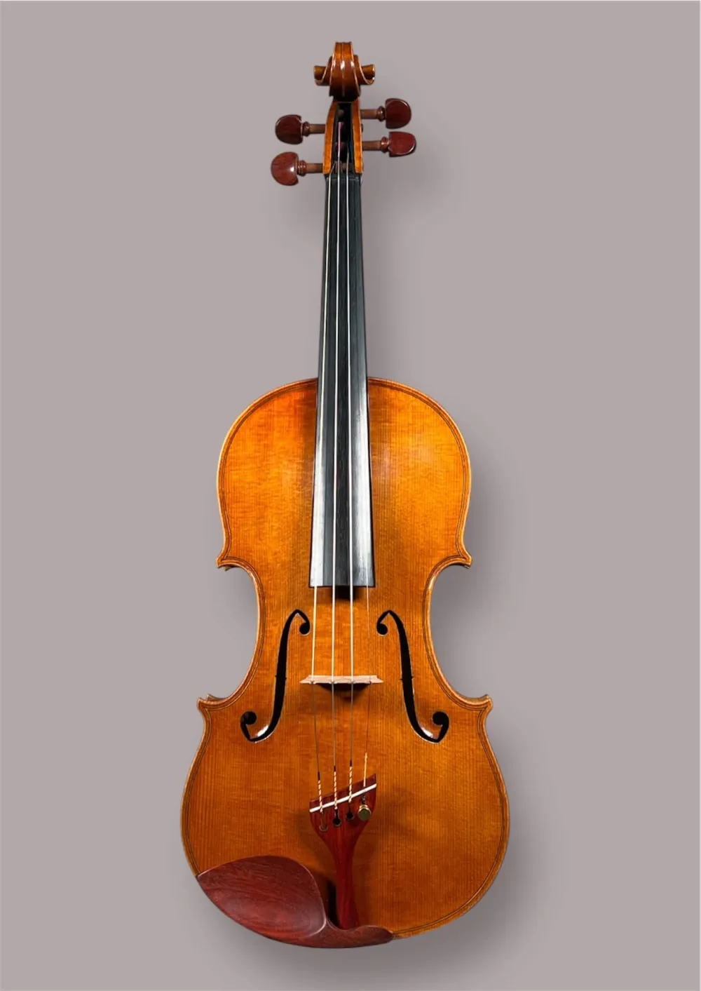 Frontansicht einer Kalas Csaba Meister Geige (Violine) GUARNERI OLE BULL Modell gebaut 2020