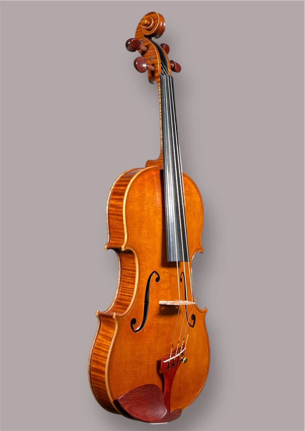 Front-Seitenansicht einer Kalas Csaba Meister Geige (Violine) GUARNERI OLE BULL Modell gebaut 2020